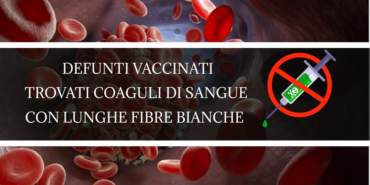 Coaguli di sangue con Fibre Bianche trovate in molti defunti vaccinati